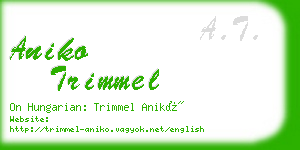 aniko trimmel business card